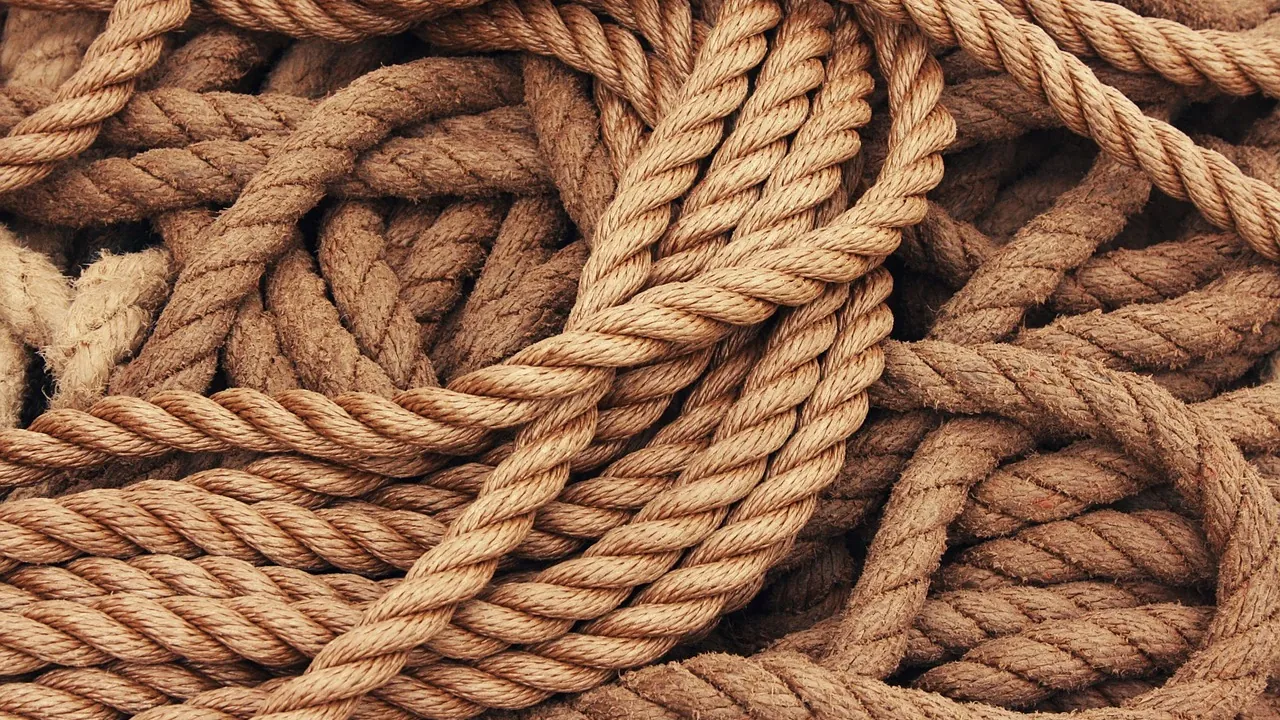 Cordages de chanvre lovés les uns dans les autres