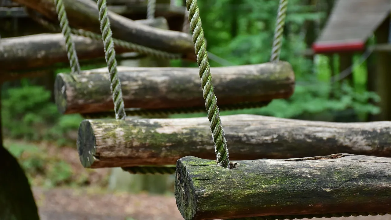 Passerelle de rondins suspendue par des cordes dans un parcours forestier